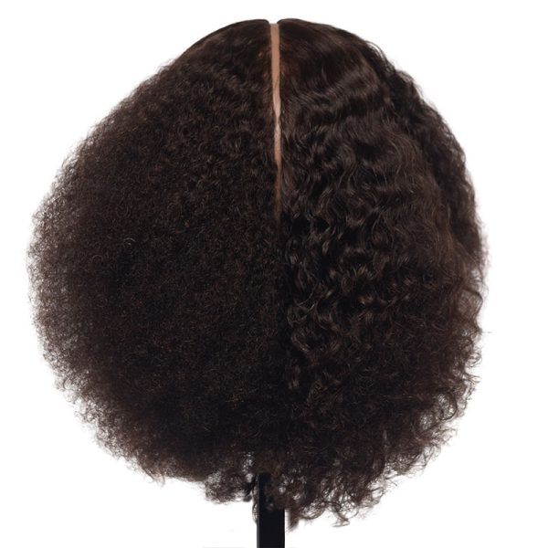Keke Curly Quad Manikin - Dark Brown 11-12 - 100% Human Hair Implanted in  Four Separate Quadrants (E807)