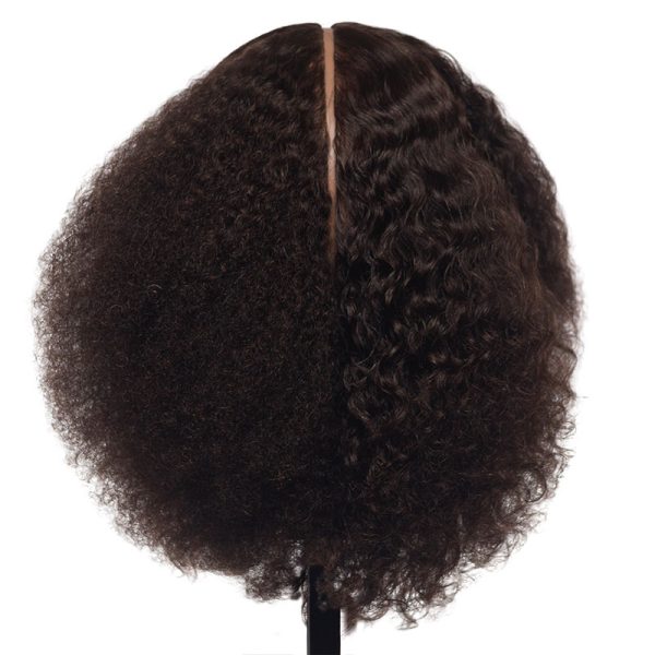 Multi-Texture Quad - 100% Human Hair Mannequin